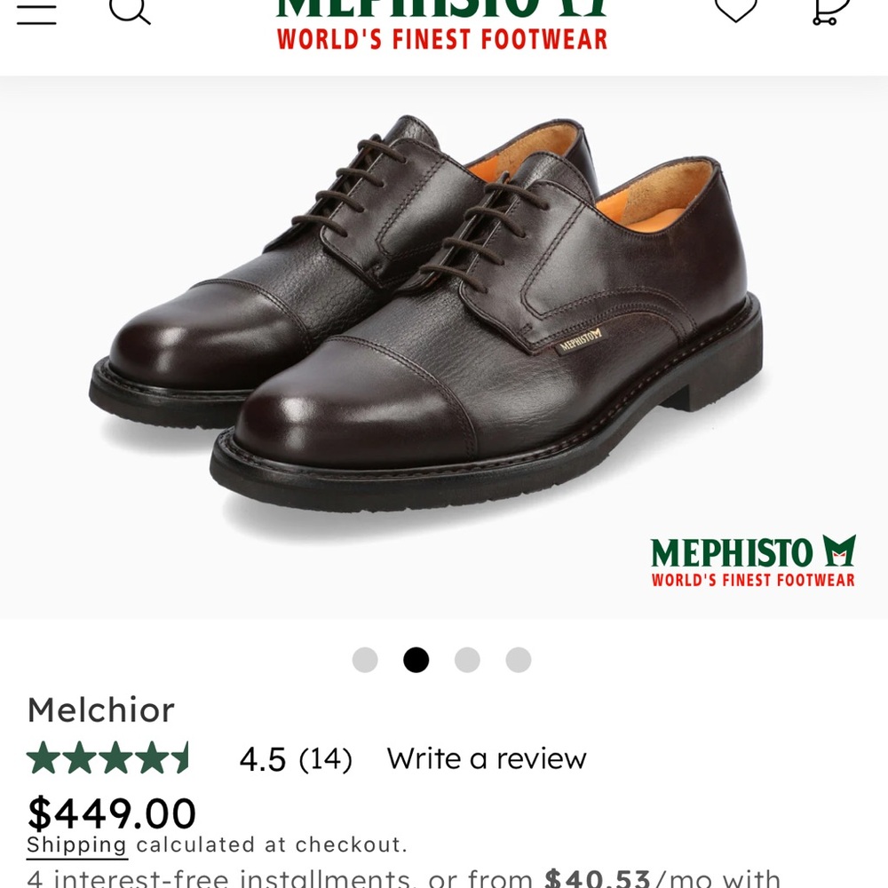 Mephisto Melchior shoes 8.5